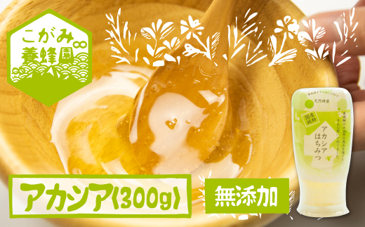 飛騨産 生蜂蜜 アカシア蜜 300g 国産無添加 はちみつ ギフト ハニー 非加熱