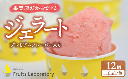オリジナルジェラート１２カップ（プレミアムフレーバー入り）  【Gelateria Fruits laboratory 】 宮城県 塩竈 塩釜市 gf00004