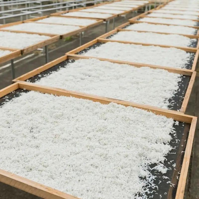 しらす 釜揚げしらす 1kg 箱入り【冷凍】 無添加 無着色【mar112】