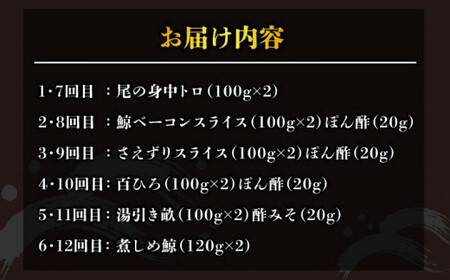 【12回定期便】月1お届け 鯨の王道6種セット くじら 定期便 [DBM009] 