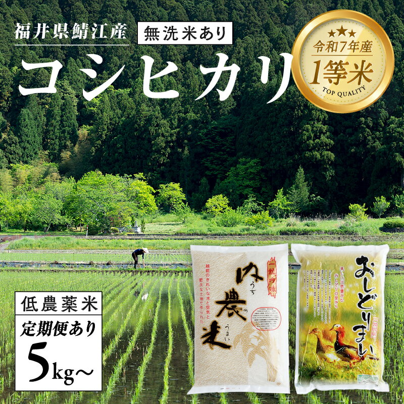 【ふるさと納税】【令和7年産 新米！】福井県産 おしどり米 内農米コシヒカリ 5kg［M-00503］/内農米 10kg /定期便 3ヶ月/6ヶ月 5kg10kg / 無洗米 5kg/ こしひかり 有機栽培 白米 精米 ご飯 コメ ごはん ライス 産地直送 鯖江市