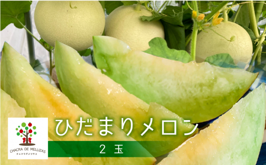 ＜8月から寄附額改定＞《先行予約》ひだまりメロン 2個 CHACRA DE MELLIZAS 令和8年産 メロン フルーツ 果物 くだもの 夏 めろん 24000円
