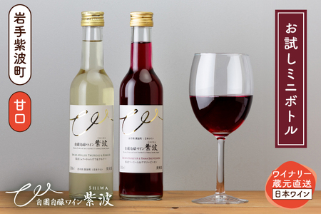 ワインミニボトル甘口2本セット (AL103)