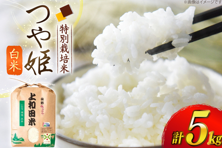 令和7年度 特別栽培米 つや姫 白米 5kg [上和田有機米生産組合 山形県 高畠町 tk06ays640013]
