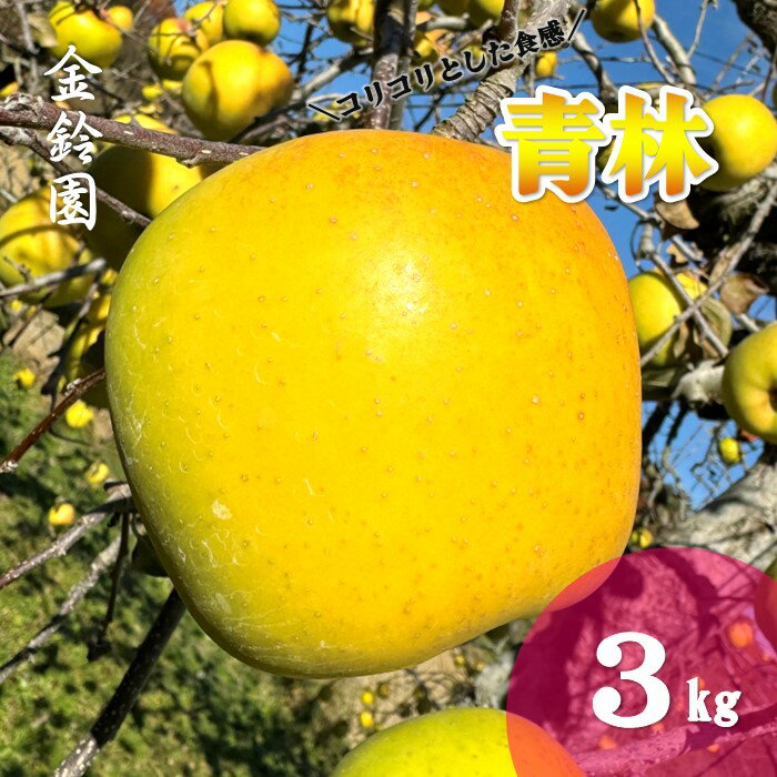 【ふるさと納税】＼予約受付 11月下旬より発送開始予定／【北上市産 りんご 】 青林 ( セイリン ) 【厳選玉】 3キロ (約9〜13玉) 林檎 リンゴ 3kg 幻のりんご せいりん 国産 産地直送 フルーツ 果物 岩手県 北上市 D0447 金鈴園
