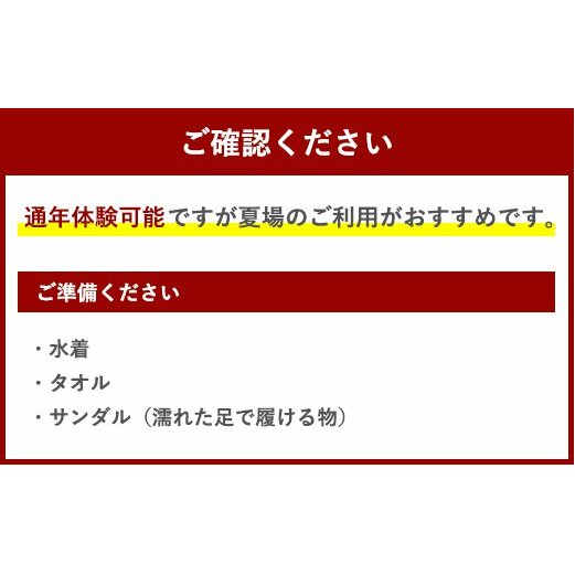 体験 ウェイクボード 初心者体験コース [SHOP川口機工 宮崎県 美郷町 31bj0007] アクティビティ 夏 スポーツ体験 マリンスポーツ 利用券 利用権 宮崎県  送料無料_イメージ2