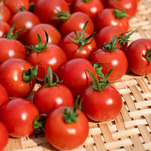 完熟フルティカトマト（中玉サイズ２kg×２箱）贈り物にも【のしギフト対応不可】天然地下水使用 先行予約 甘熟ミディトマト フルーツトマト【R00559】