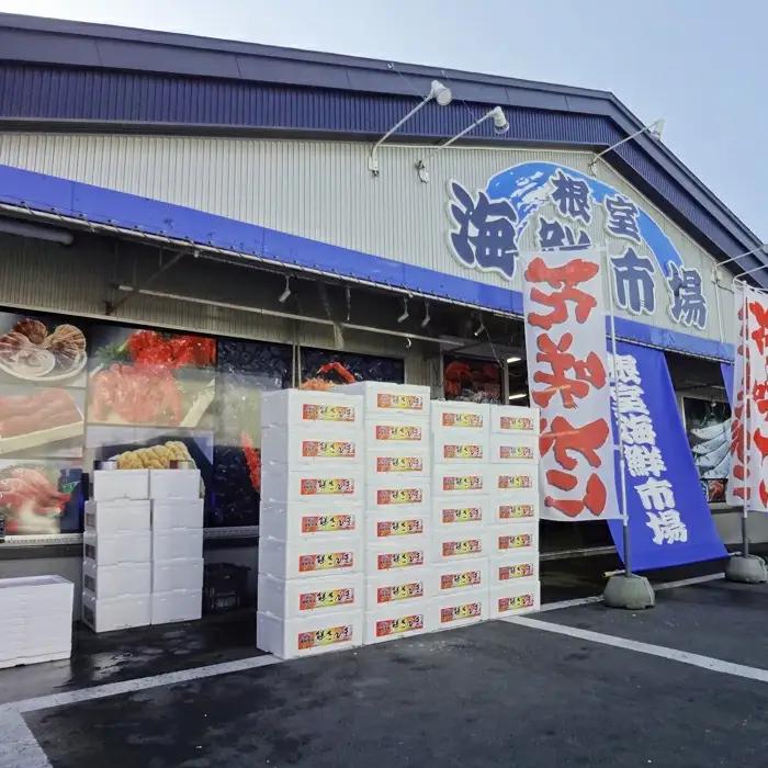 【北海道根室産】根室海鮮市場[直送]無添加開きキンキ(めんめ)一夜干し×3P B-28129