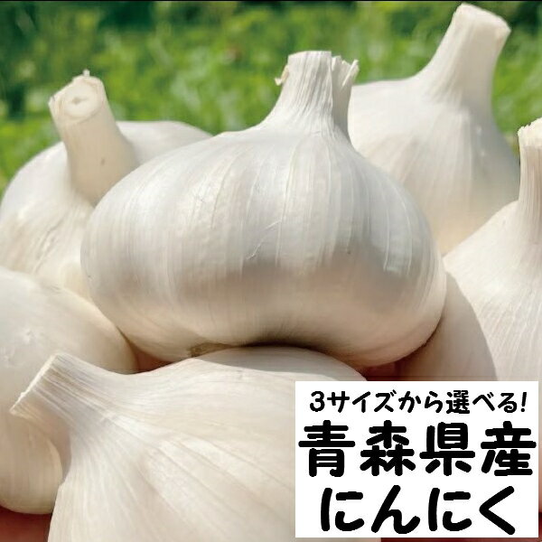 【ふるさと納税】にんにく・青森県産福地ホワイト種【2024年産】 中/大/特大 サイズを選べる！ 高品質 大蒜 ニンニク ガーリック 国産 薬味 スタミナ 野菜 おすすめ 送料無料 野菜 健康食品 免疫力向上 滋養強壮 ふるさと納税 上級 贈答 にんにく ラーメン