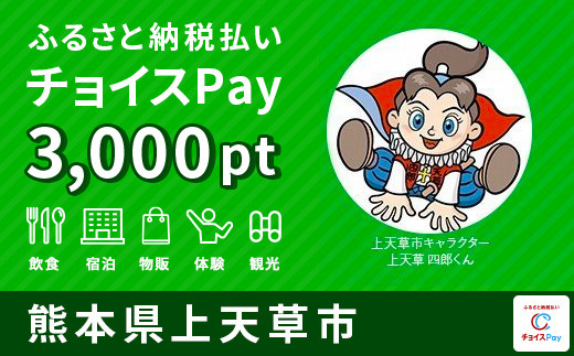 
観光・食事などに使える！上天草市 チョイスPay 3,000ポイント【会員限定のお礼の品】
