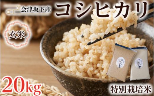 
            51-B 会津坂下町産　特別栽培米コシヒカリ　20kg(5kgx4)　玄米 FARMiliarほり の 「もぉ～うん米」◇
          