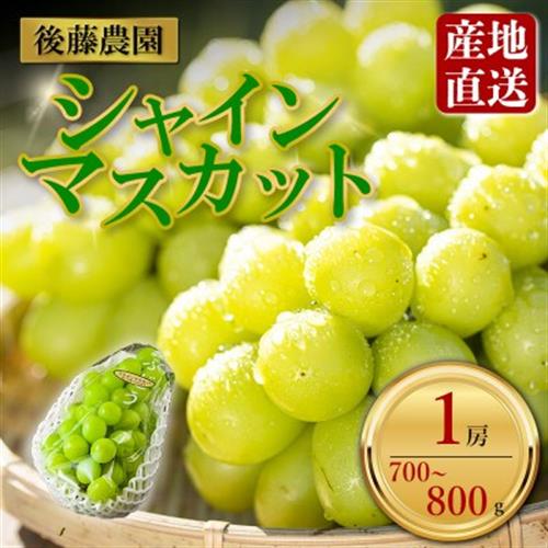 「後藤農園」 シャインマスカット 約700g～800g　1房【配送不可地域：離島・北海道・沖縄・東北・関東・信越、北陸・東海・四国】【1663124】