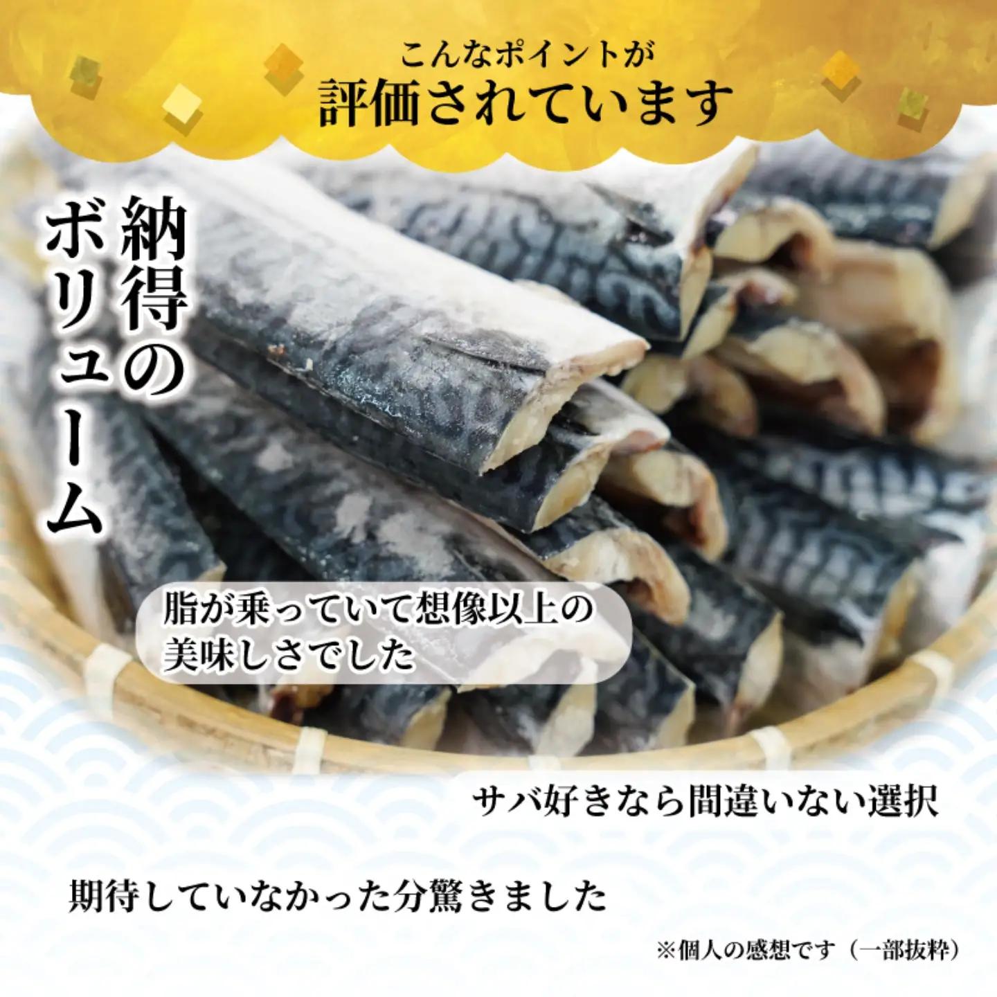 訳あり 塩鯖 3㎏ 鯖
