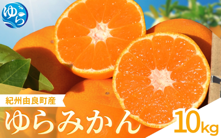 ゆらみかん 10kg  ※2026年11月下旬頃から12月上旬頃に順次発送予定 【kzmn004-r-10】