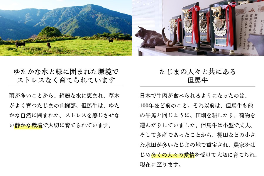 神戸ビーフ　焼肉用・赤身（1kg）