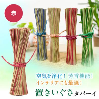 ふるさと納税 八代市 置きいぐさ(タバーイ)赤_024-4647-R-B