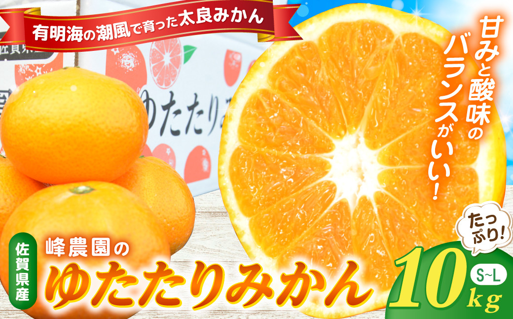 
                  峰農園のゆたたりみかん  10kg 温州 みかん ミカン 蜜柑 温州蜜柑 温州ミカン 早生 フルーツ くだもの 果物 ミネラル豊富 国産 産地直送 贈答用 お中元 お歳暮 月の引力が見える町 太良町 ふるさと納税 返礼品 さがみかん 太良みかん 美味しい 多良岳山系の水 有明海の潮風 佐賀県 太良町 ND11x1 【2026年11月発送予定】
                