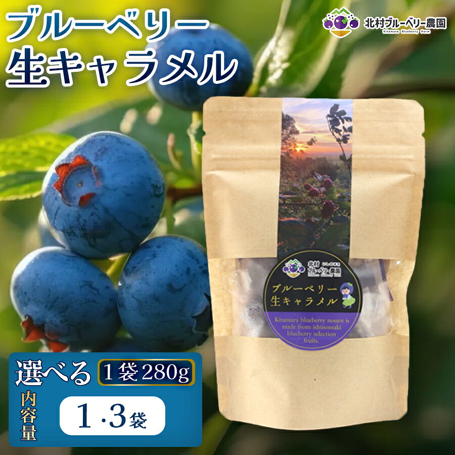 【ふるさと納税】 ブルーベリー 生キャラメル 280g 選べる 数量 1袋 or 3袋 無添加 摘みたて 自然栽培 手作り 果実 100% キャラメル アントシアニン トッピング 石巻市産 宮城県 石巻市