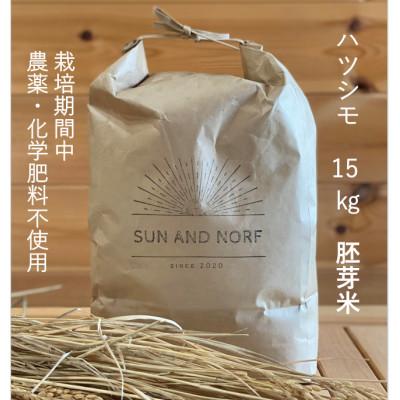 ふるさと納税 養老町 【令和7年産】初霜(源種)胚芽米15kg　(栽培期間中農薬・化学肥料不使用)