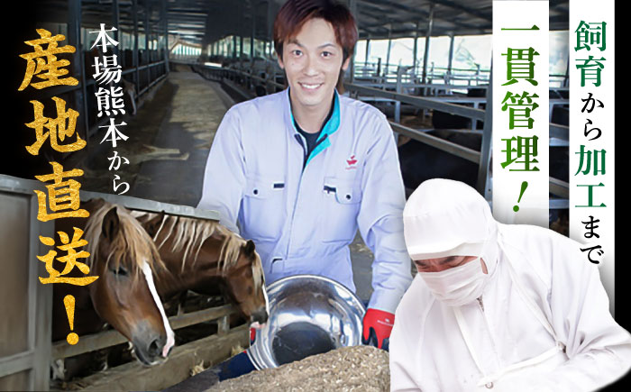 【全12回定期便】「フジチク」ユッケ2種の贅沢食べ比べセット【株式会社フジチク】 [BHAD115]