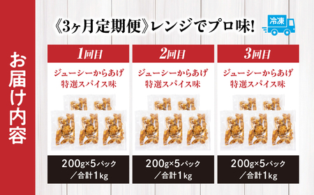 【3か月定期便】レンジでプロ味！からあげ３か月定期便_Tk005-t043