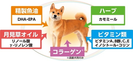 H-237　【ドッグフード】日本犬 柴専用 成犬用 フィッシュ味 ６kg