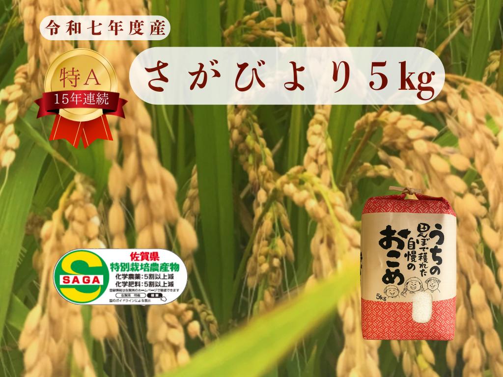 
            さがびより お米５kg
          