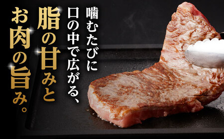 A5等級 佐賀牛 サーロインステーキ 400g（200g×2枚）/ナチュラルフーズ[UBH101]
