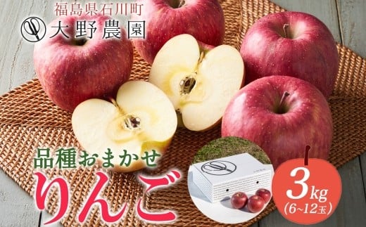 
            りんご3kg 品種お任せ 6～12玉 ｜ リンゴ 旬 ランダム 林檎 果物 フルーツ 甘い アップル 産直 大野農園 福島県 石川町【19010】
          