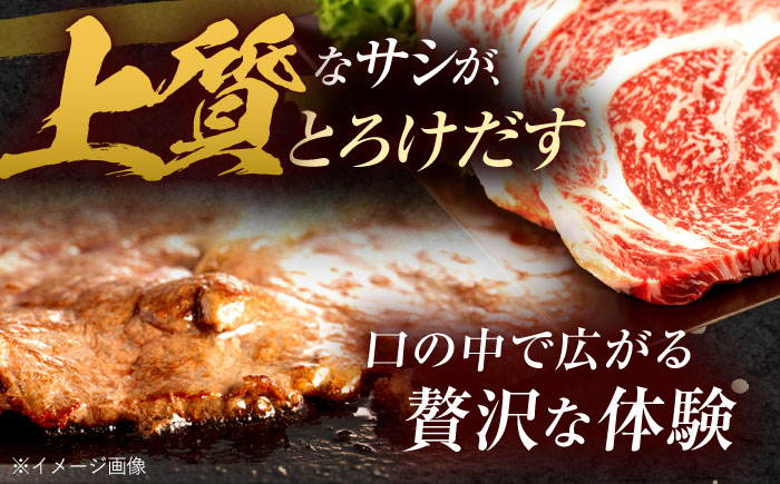 長崎和牛 サーロインステーキ 600g（200g×3枚） / 西日本フード株式会社 [AHAV009]