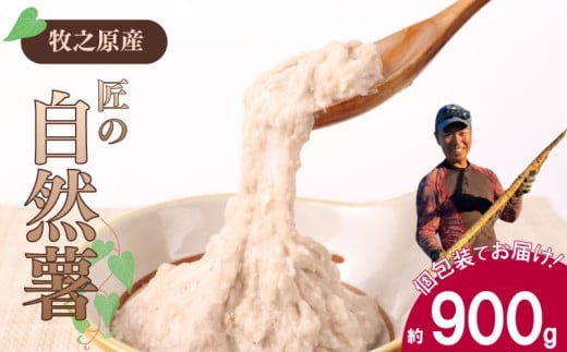 【自然薯 小分け】 約 900g 小分け じねんじょ 山芋 ヤマイモ 山いも とろろ とろろ汁 国産 滋養強壮 強壮 とろろご飯 ご飯のお供 栄養 美味しい おいしい 自宅用 家庭用 贈答用 贈答 贈り物 ギフト プレゼント おすすめ オススメ 小分け 個包装 食べきり 産地直送 農家直送 産直 直送 静岡県産 牧之原産 お土産 とろろごはん やまいも 野菜 芋 たくみファーム 静岡県 牧之原市