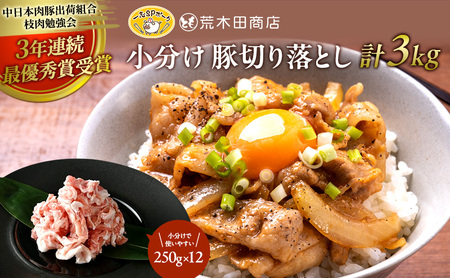 豚肉 一志SPポーク 豚切り落とし 小分け 国産 豚肉【250g×12P 計3kg】【冷凍】