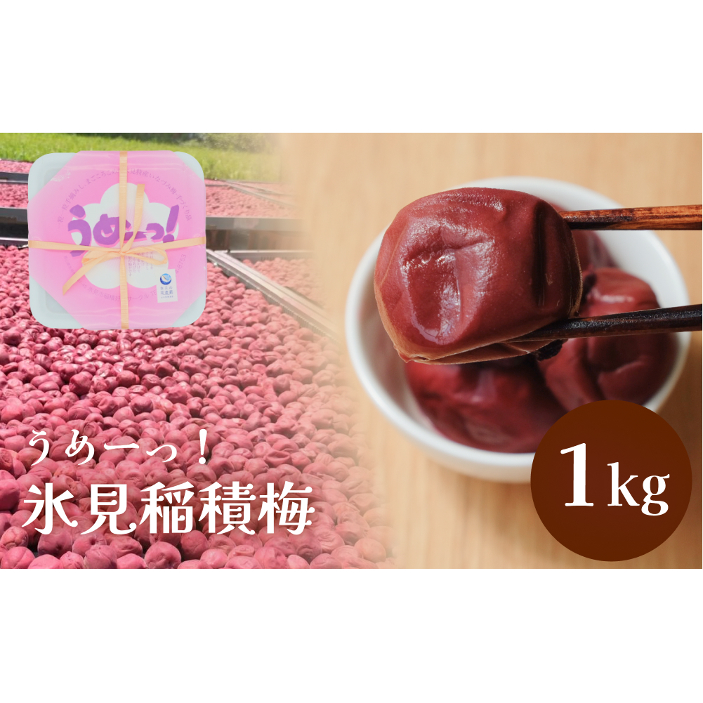 うめーっ！氷見稲積梅　梅干し1kg 富山県 氷見市 梅干 1キロ 酸っぱい