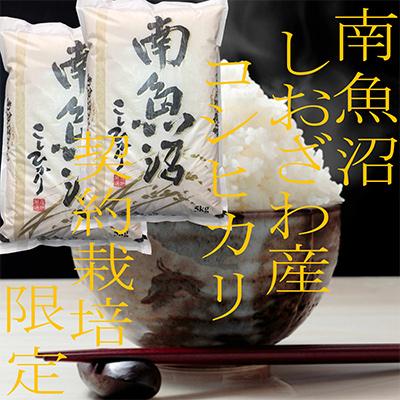 ふるさと納税 南魚沼市 【毎月定期便】生産者限定 契約栽培 南魚沼しおざわ産コシヒカリ 精米10Kg全6回