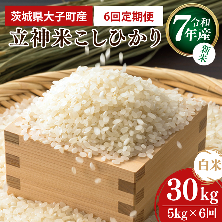 【6ヶ月定期便】【新米】令和7年産 立神米こしひかり（白米）定期便 5kg ×6回｜茨城県 大子町 コシヒカリ 米 コンテスト 受賞 生産者 大子産米 産地直送（BT071）