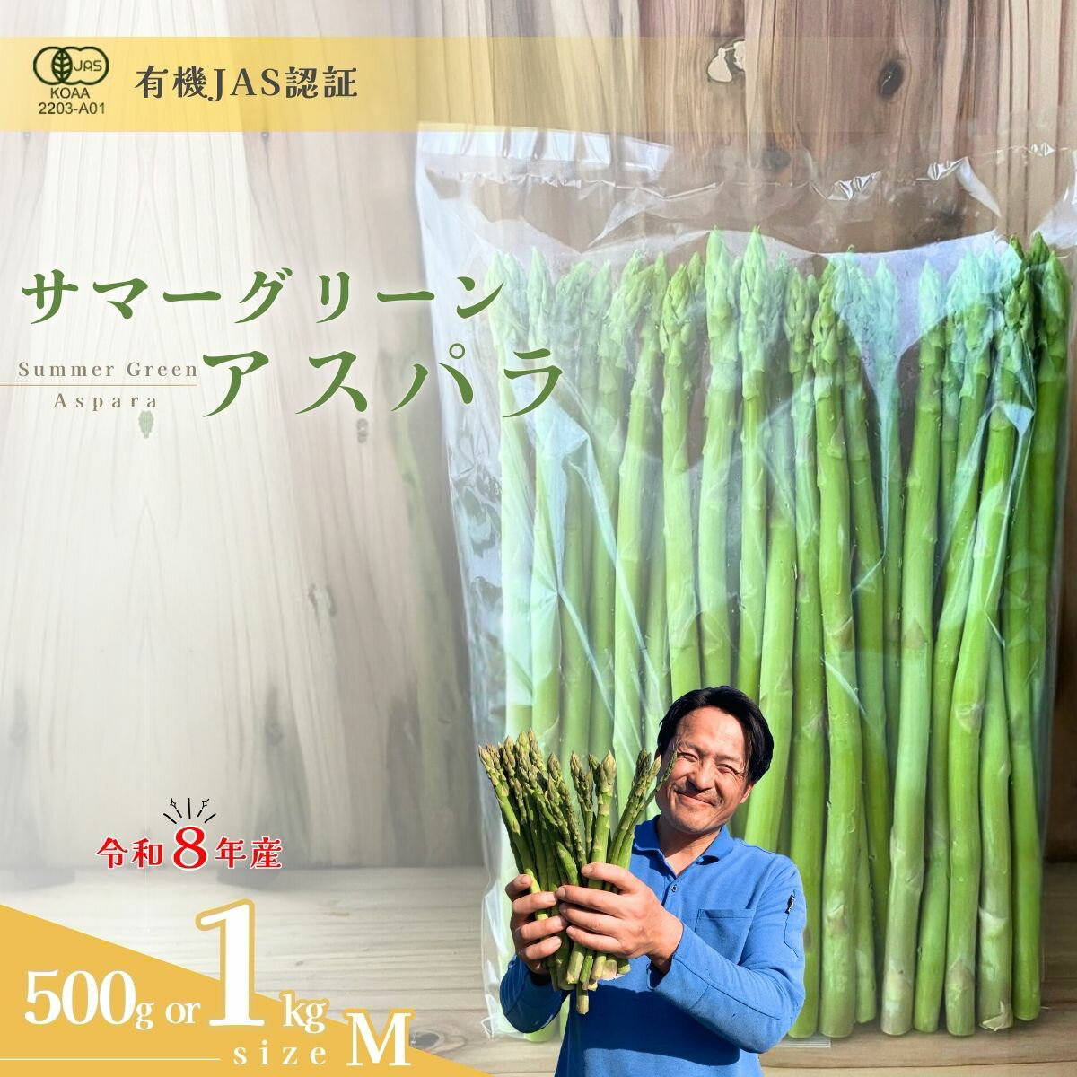 【ふるさと納税】【先行予約】オーガニック サマーグリーンアスパラガス M 500g or 1kg | アスパラガス アスパラ あすぱら オーガニックアスパラ 有機JAS認証 有機栽培 サマーグリーンアスパラガス Mサイズ 新鮮野菜 産地直送 500g 1kg 夏野菜 お取り寄せ 山口県 宇部市