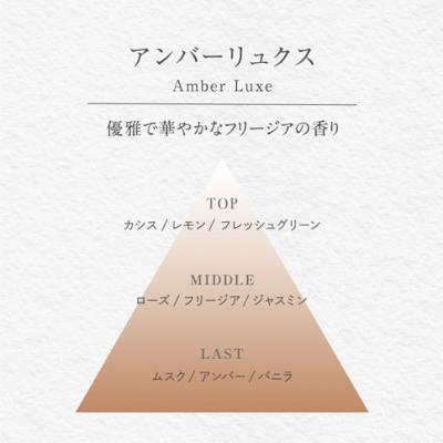 ふるさと納税 三宅町 バーグ リードディフューザー &カークリップセット (アンバーリュクス) 晴香堂 ルームフレグランス |  | 03