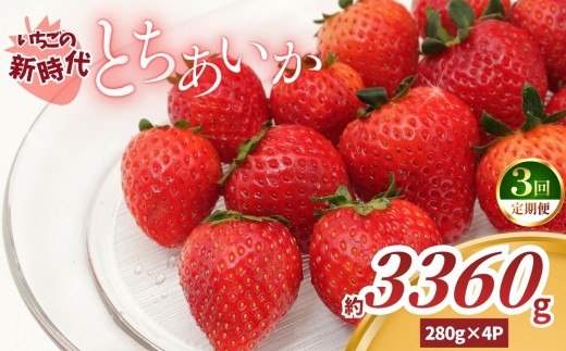 【2027年 先行予約】【定期便3回】いちごの新時代「とちあいか」280g×4P×3回（合計3360g）｜栃木県 矢板市産