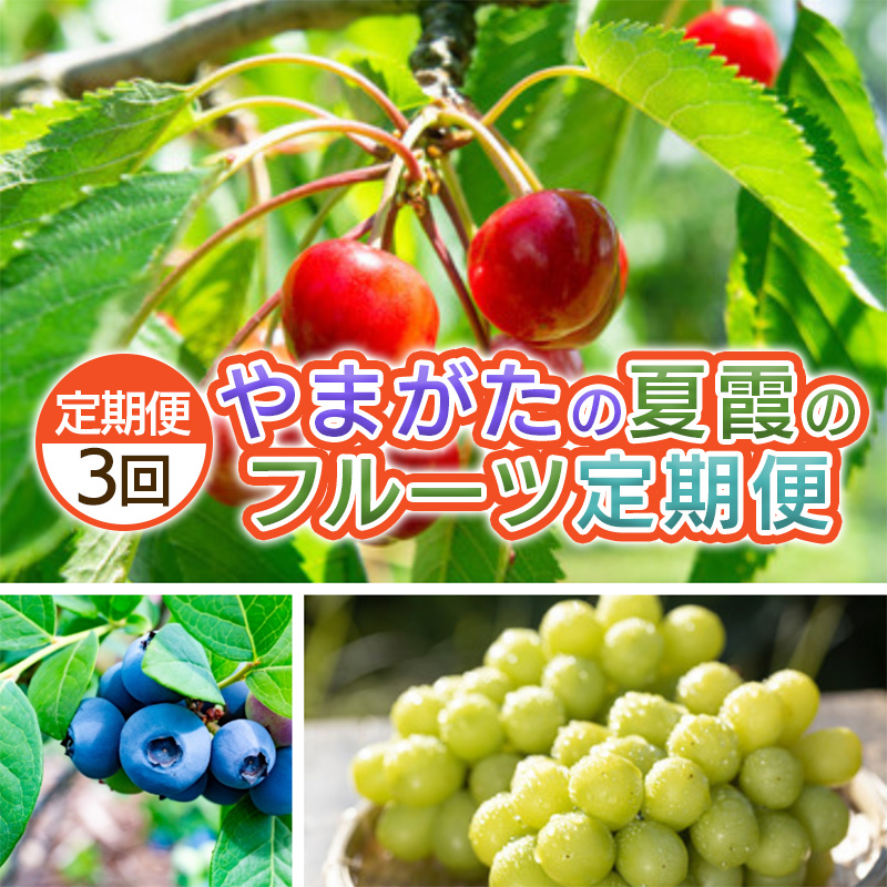 【定期便3回】やまがた　夏霞のフルーツ定期便 FY25-051