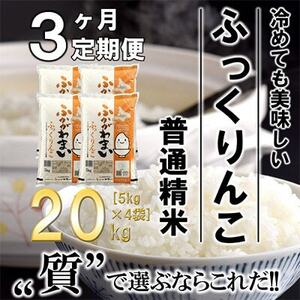 【発送月固定定期便】【令和6年産先行受付】北海道深川産ふっくりんこ20kg(普通精米)全3回【4014169】