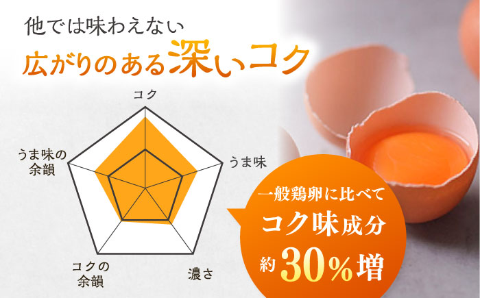 黄身の濃厚なコクと白身の甘み！たたらの里平飼い 彩り天佑卵 10個入り（10個×1P）たまご 卵 放牧卵 島根県雲南市/株式会社たなべたたらの里（たなべ森の鶏舎） [AIDL006]