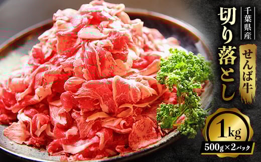 せんば牛 切り落とし 1kg ( 500g×2パック) 牛肉 牛 国産牛 肉 切り落とし 牛切り落とし 牛肉切り落とし スライス 牛肉スライス せんば牛 肉じゃが 牛丼 すき焼き カレー ギフト プレゼント 贈り物 簡単調理 農場HACCP HACCP 老舗 直送 千葉牛 コラボ 千葉県 旭市 地方の恵み cnm005