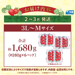 【2027年2月～3月発送】完熟「古都華」奈良ブランドいちご3L～Mサイズ6パック　先行予約 ことか 甘い 糖度 濃い 濃厚 果汁 香り 朝摘み いちご イチゴ 苺 フルーツ 果物 くだもの ご褒美 