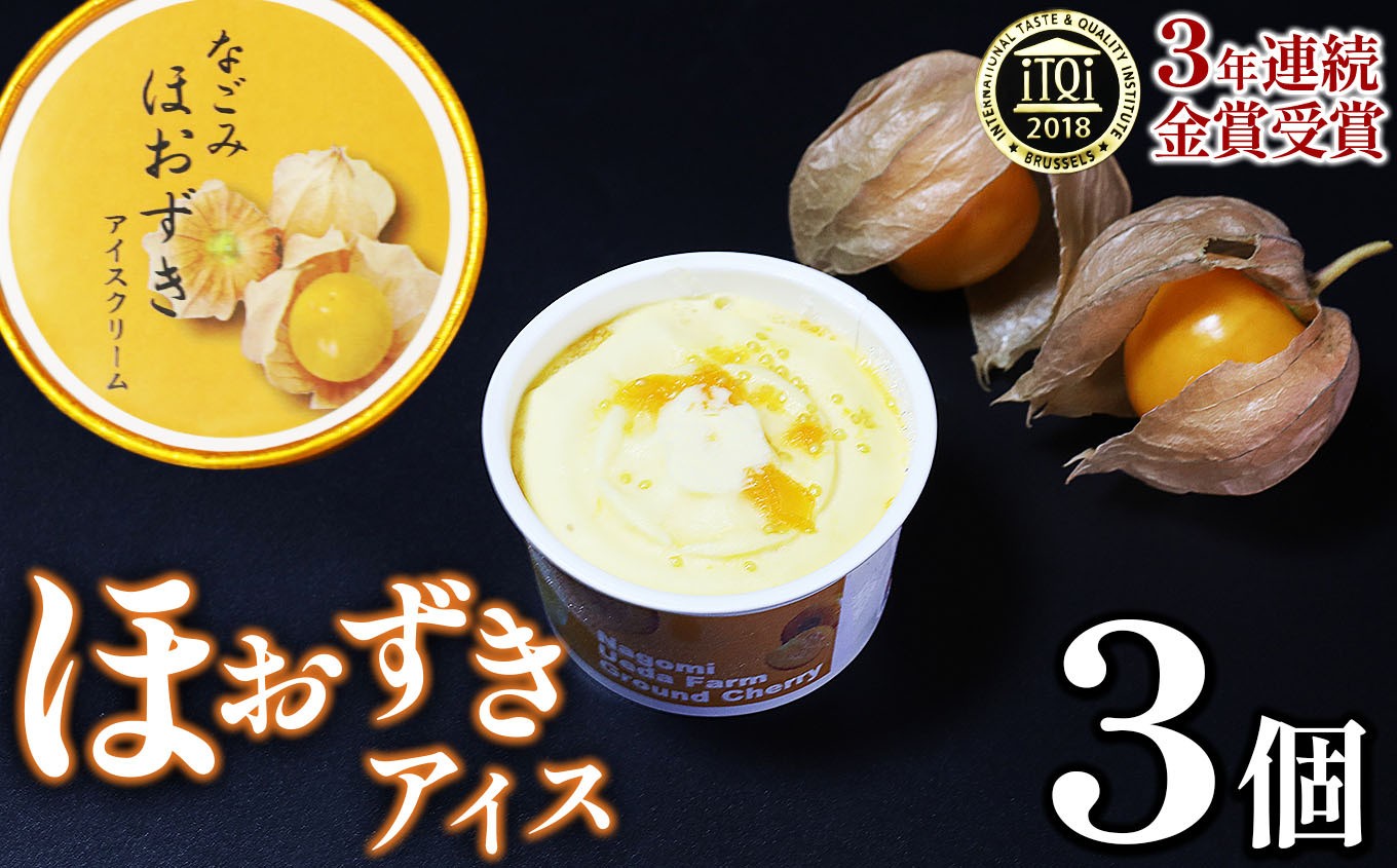 
            【 国際味覚コンクール 3年連続金賞受賞 】プリンセスほおずき使用 なごみほおずきアイスクリーム 3個 | 熊本県 和水町 くまもと なごみまち なごみ アイスクリーム アイス スイーツ デザート おやつ ほおずき 果物 野菜 ギフト
          