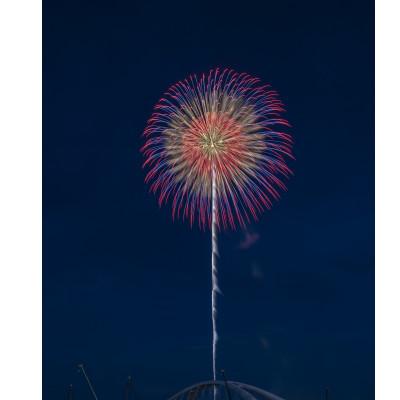 ふるさと納税 豊田市 花火玉レプリカ(模擬玉) |  | 03