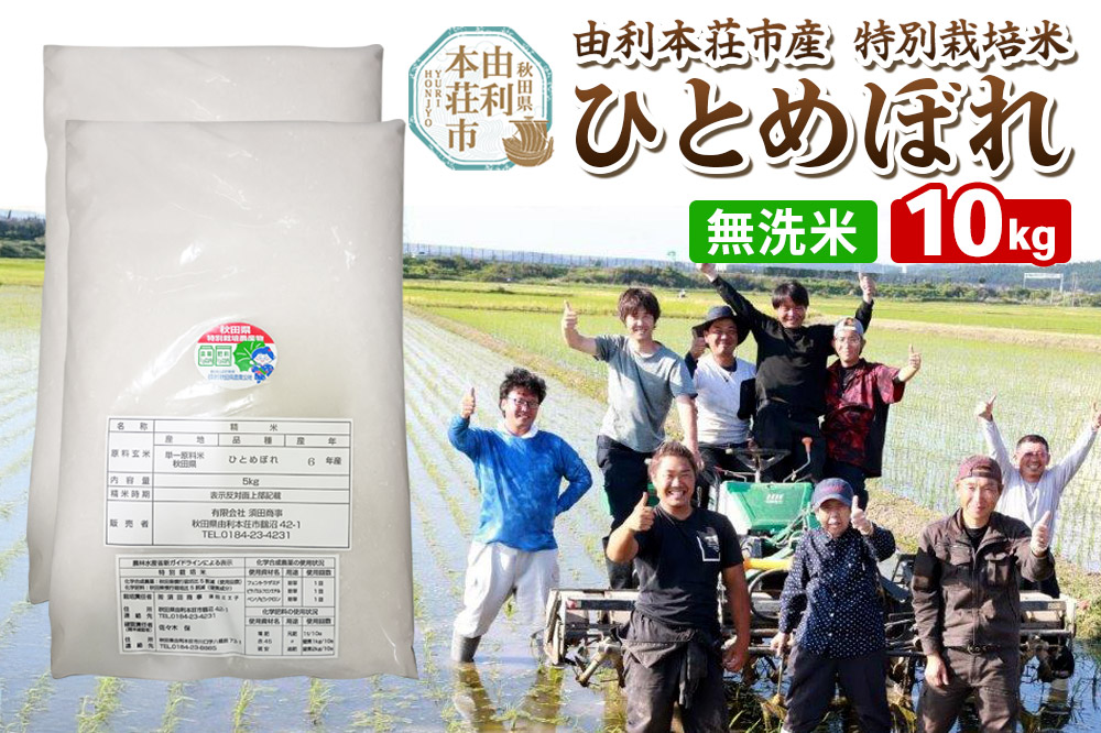 【無洗米】秋田県由利本荘市産 特別栽培米 ひとめぼれ 10kg（5kg×2袋）令和6年産