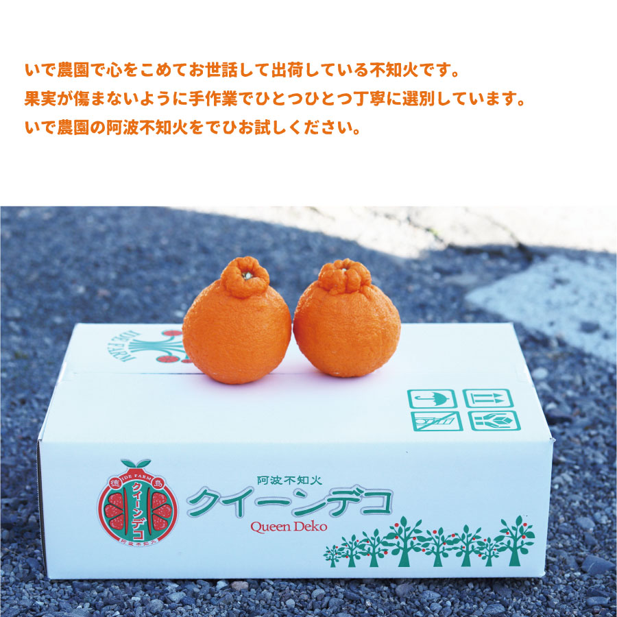 井出農園 訳あり 阿波不知火 サイズ混合 5kg