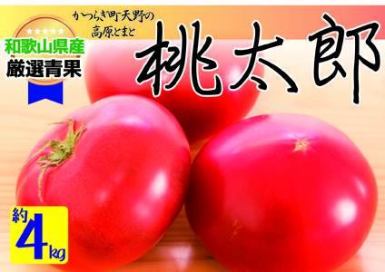 太陽の恵みたっぷりの天野とまと【桃太郎トマト約４kg】【2025年7月中旬～10月下旬発送】【A011-frks007】
