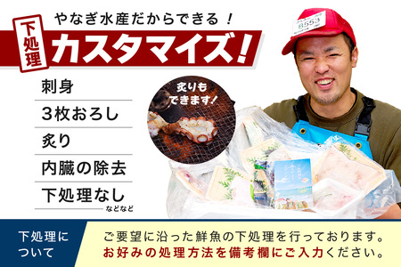 【鮮魚屋にお任せ！大満足の定期便】【定期便】 この男の目利き！～浜田の旨い鮮魚3回お届けコース～ 定期便 3回 海鮮セット 海鮮 鮮魚 セット 下処理済み おすすめ 返礼品 お取り寄せ 人気 【11】