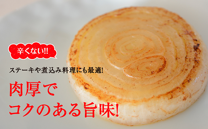浜松篠原産新玉ねぎプレミアムフレッシュ5キロ【無選別品】 野菜 たまねぎ タマネギ 5kg